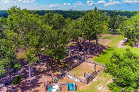 Recreational Property In Madison Florida, Land For Sale - image 12