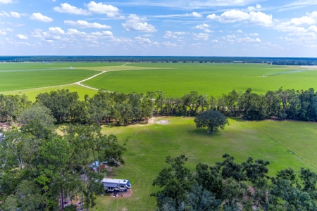 Recreational Property In Madison Florida, Land For Sale - image 6