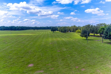 Recreational Property In Madison Florida, Land For Sale - image 7
