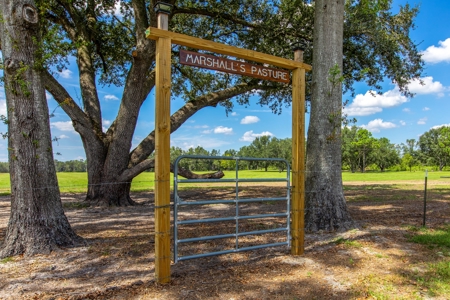 Recreational Property In Madison Florida, Land For Sale - image 3