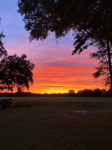Recreational Property In Madison Florida, Land For Sale - image 14