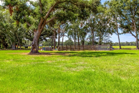 Recreational Property In Madison Florida, Land For Sale - image 2