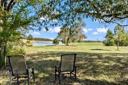 Country Living in Northeast Texas on 5 Acres - image 20