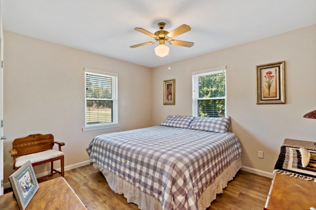 Country Living in Northeast Texas on 5 Acres - image 3
