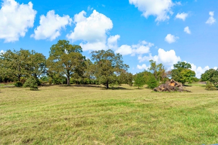 Country Living in Northeast Texas on 5 Acres - image 18
