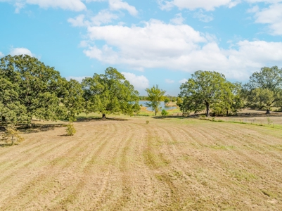 Country Living in Northeast Texas on 5 Acres - image 29