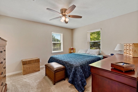 Country Living in Northeast Texas on 5 Acres - image 12