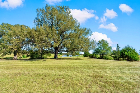 Country Living in Northeast Texas on 5 Acres - image 19