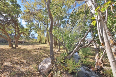 Creekside Property with Tiny Home For Sale Near Ski Resort - image 25