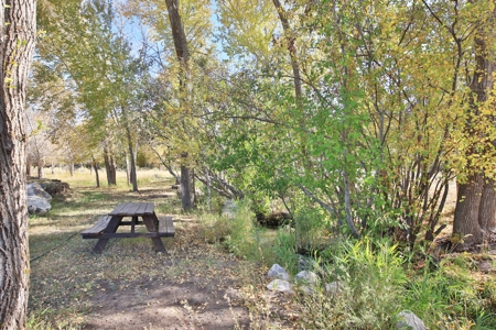 Creekside Property with Tiny Home For Sale Near Ski Resort - image 23