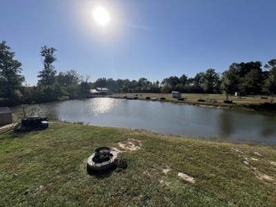 Country Home With A Pond And Shop - image 26