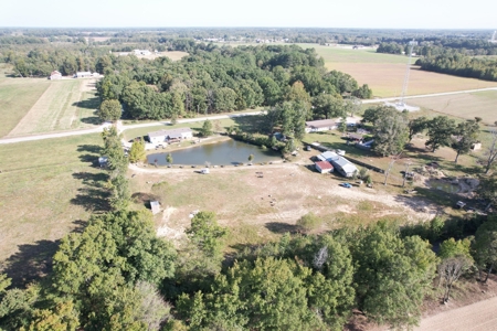 Country Home With A Pond And Shop - image 3