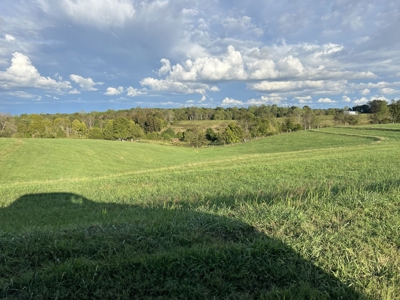 Farm, Tiny Home, Creek For Sale In Tn - image 27