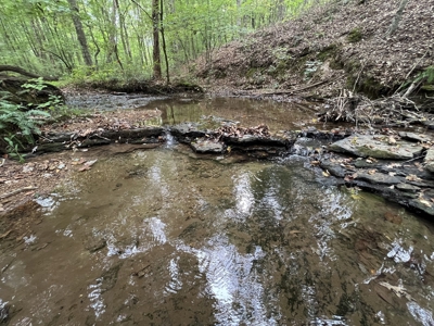 Farm, Tiny Home, Creek For Sale In Tn - image 11