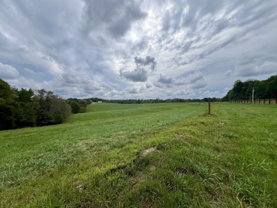 Farm, Tiny Home, Creek For Sale In Tn - image 12