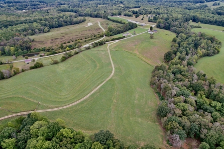 Farm, Tiny Home, Creek For Sale In Tn - image 6