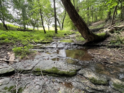 Farm, Tiny Home, Creek For Sale In Tn - image 4