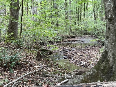 Farm, Tiny Home, Creek For Sale In Tn - image 18