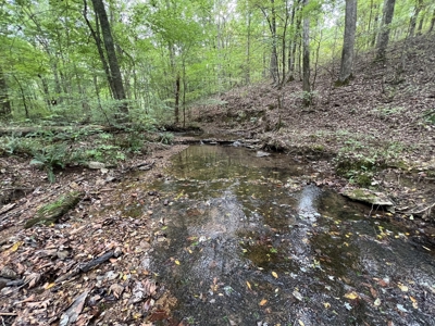 Farm, Tiny Home, Creek For Sale In Tn - image 17