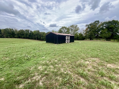 Farm, Tiny Home, Creek For Sale In Tn - image 13