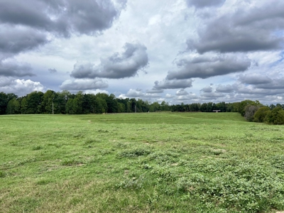 Farm, Tiny Home, Creek For Sale In Tn - image 7