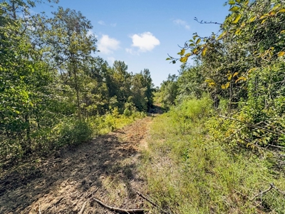 Hunting and Timberland for Sale in Ouachita Parish, LA - image 25