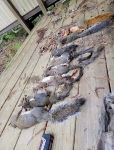 Hunting and Timberland for Sale in Ouachita Parish, LA - image 34