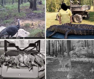 Hunting and Timberland for Sale in Ouachita Parish, LA - image 48