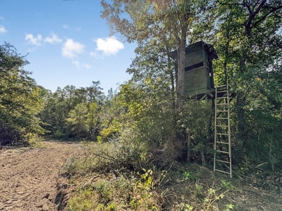 Hunting and Timberland for Sale in Ouachita Parish, LA - image 22