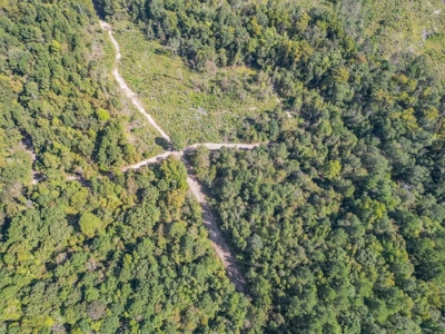 Hunting and Timberland for Sale in Ouachita Parish, LA - image 10