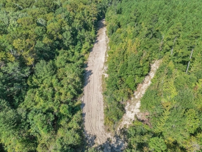 Hunting and Timberland for Sale in Ouachita Parish, LA - image 8