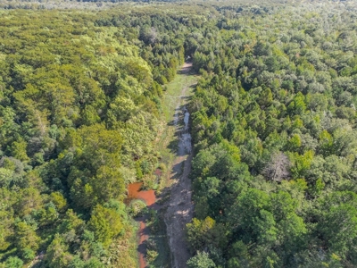 Hunting and Timberland for Sale in Ouachita Parish, LA - image 3