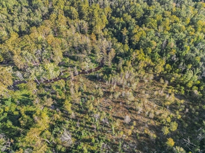 Hunting and Timberland for Sale in Ouachita Parish, LA - image 14