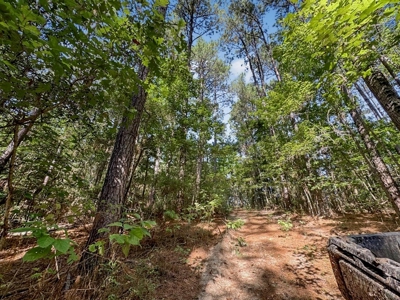 Hunting and Timberland for Sale in Ouachita Parish, LA - image 24