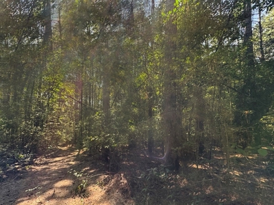Hunting and Timberland for Sale in Ouachita Parish, LA - image 23