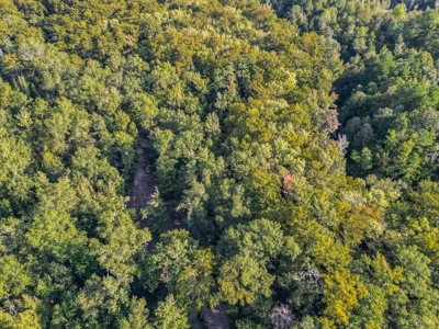 Hunting and Timberland for Sale in Ouachita Parish, LA - image 13