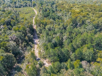 Hunting and Timberland for Sale in Ouachita Parish, LA - image 9