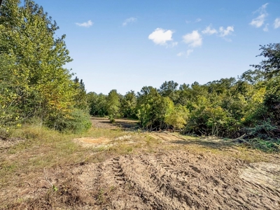 Hunting and Timberland for Sale in Ouachita Parish, LA - image 21