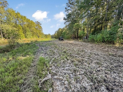 Hunting and Timberland for Sale in Ouachita Parish, LA - image 42