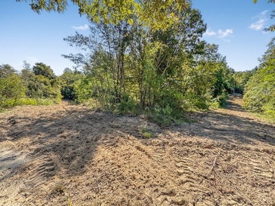 Hunting and Timberland for Sale in Ouachita Parish, LA - image 26