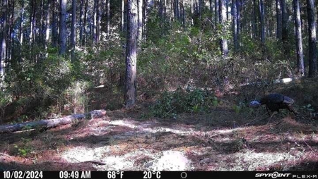 Hunting and Timberland for Sale in Ouachita Parish, LA - image 43