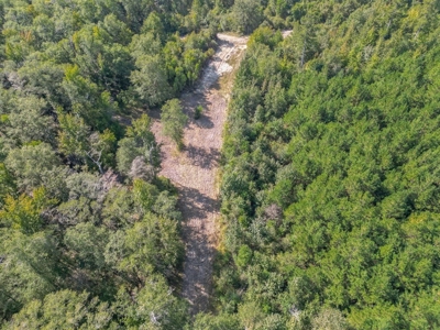 Hunting and Timberland for Sale in Ouachita Parish, LA - image 7