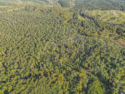 Hunting and Timberland for Sale in Ouachita Parish, LA - image 12