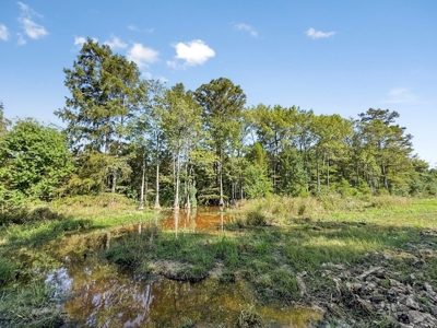 Hunting and Timberland for Sale in Ouachita Parish, LA - image 16