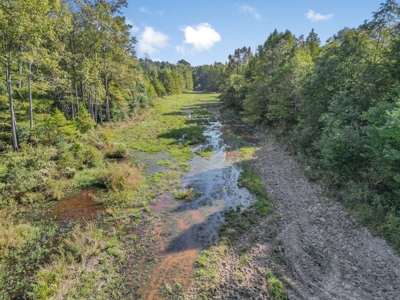 Hunting and Timberland for Sale in Ouachita Parish, LA - image 2