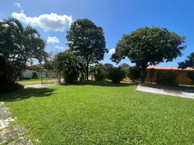 1000 m2 opportunity house in Las Lajas, Chame - image 4