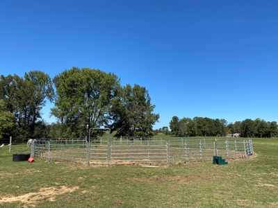 Equine Property For Sale In Tn, Brick Home, Barn, 17Ac+/- - image 34