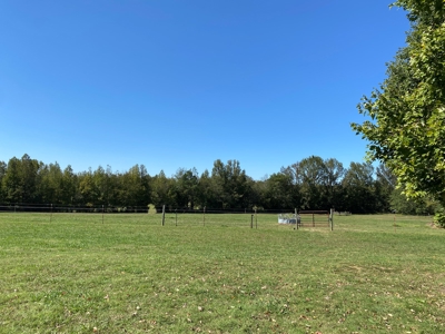Equine Property For Sale In Tn, Brick Home, Barn, 17Ac+/- - image 40
