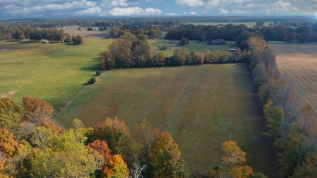 Equine Property For Sale In Tn, Brick Home, Barn, 17Ac+/- - image 50