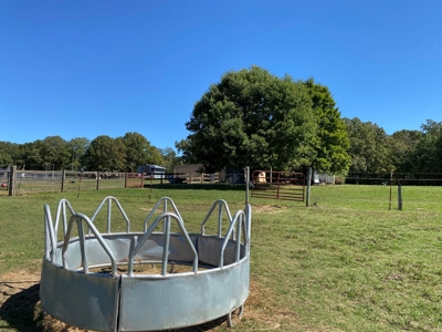 Equine Property For Sale In Tn, Brick Home, Barn, 17Ac+/- - image 2
